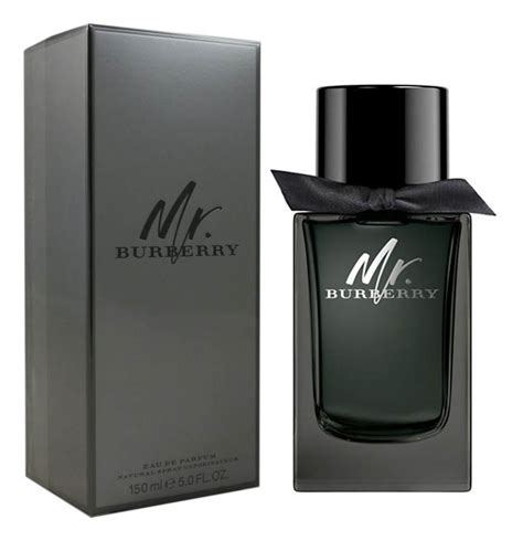 mr Burberry edp review